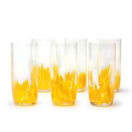 Set of 6 Long Glasses Multicolor Yellow Murano Crystals Cadoro